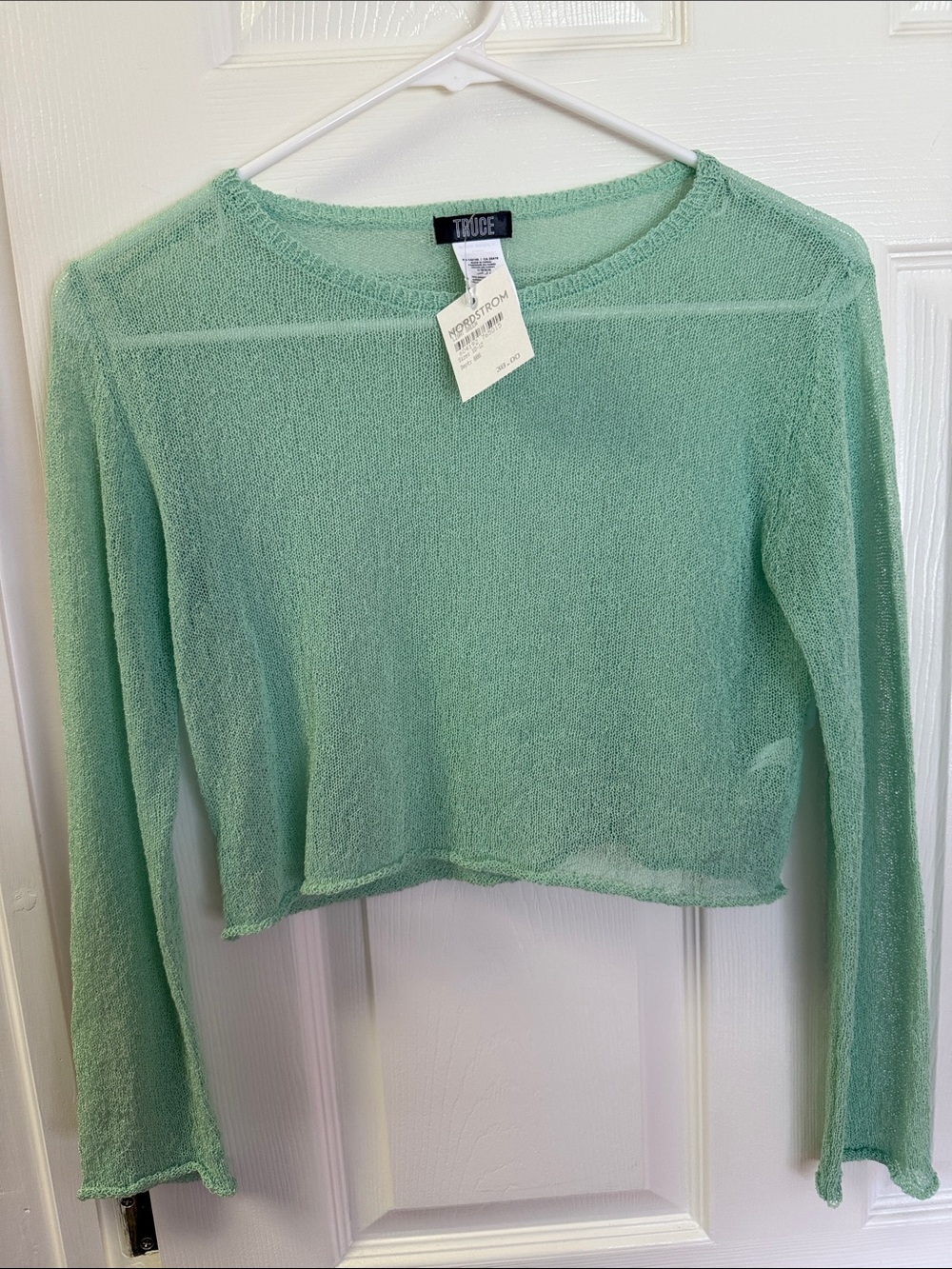 AQUAGE Sheer Long-Sleeve Crop Top in Mint Green